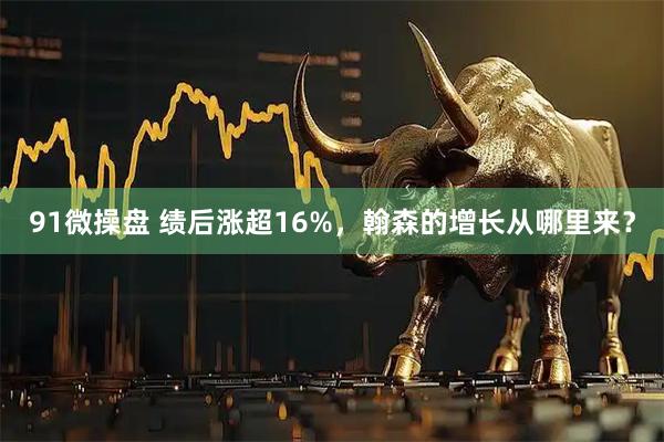 91微操盘 绩后涨超16%，翰森的增长从哪里来？